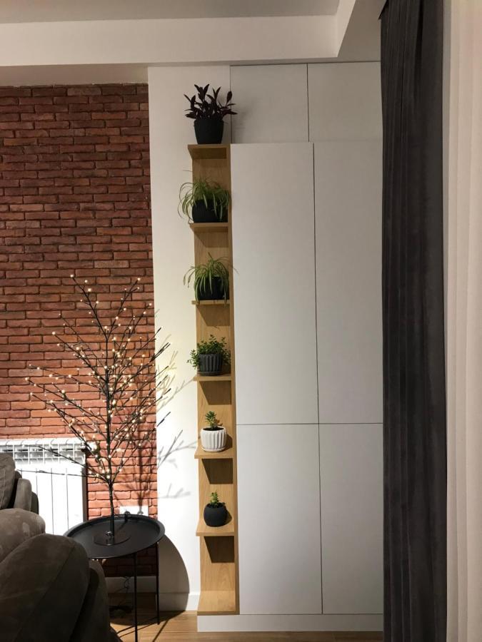 A New Apartment In The King District 库塔伊西 外观 照片